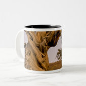 Ancient Bristlecone Forest, White Mountains, CA Tweekleurige Koffiemok (Voorkant links)