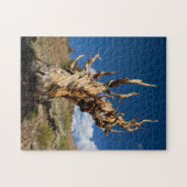 Ancient Bristlecone Legpuzzel (Horizontaal)