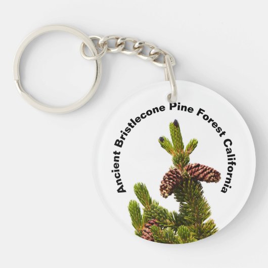 Ancient Bristlecone Pine Forest California Sleutelhanger (Voorkant)