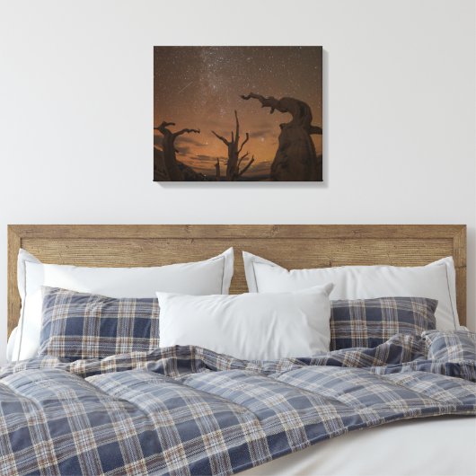 Ancient Bristlecone Pine Forest | Californië Canvas Afdruk (Insitu (Slaapkamer))