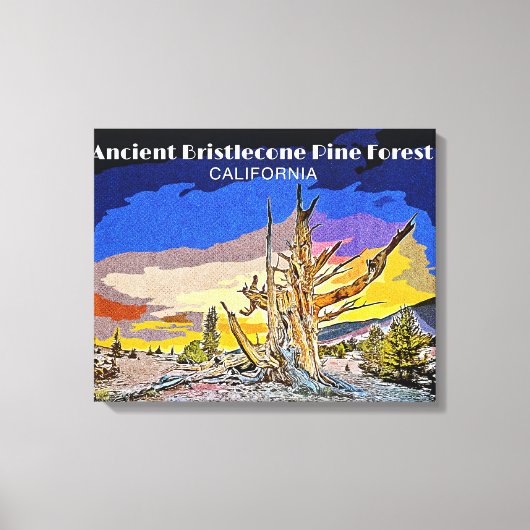 Ancient Bristlecone Pine Forest, Californië Canvas Afdruk (Voorkant)