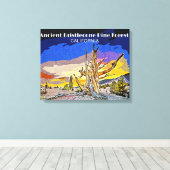 Ancient Bristlecone Pine Forest, Californië Canvas Afdruk (Insitu (Houten vloer))