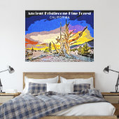 Ancient Bristlecone Pine Forest, Californië Canvas Afdruk (Insitu (Slaapkamer))