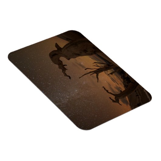 Ancient Bristlecone Pine Forest | Californië Magneet (Rechterzijde)