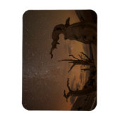 Ancient Bristlecone Pine Forest | Californië Magneet (Verticaal)