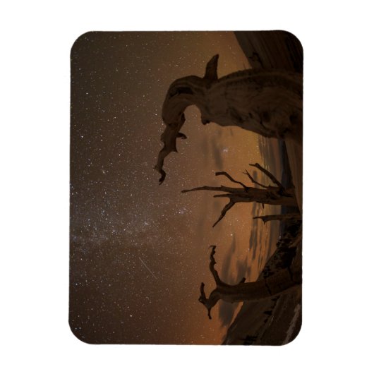 Ancient Bristlecone Pine Forest | Californië Magneet (Verticaal)