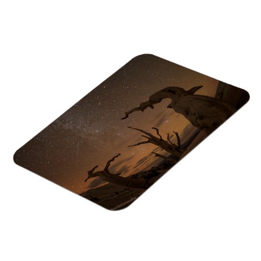 Ancient Bristlecone Pine Forest | Californië Magneet (Linkerzijde)