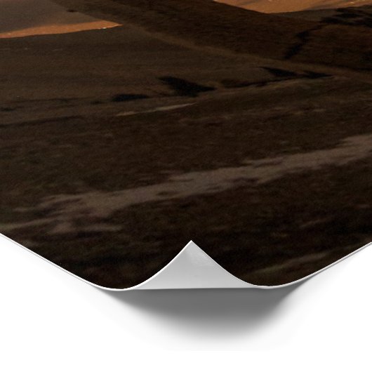 Ancient Bristlecone Pine Forest | Californië Poster (Hoek)