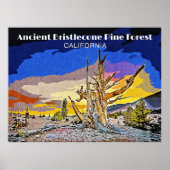 Ancient Bristlecone Pine Forest, Californië Poster (Voorkant)