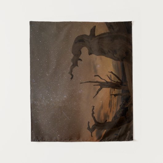 Ancient Bristlecone Pine Forest | Californië Wandkleed (Voorkant)