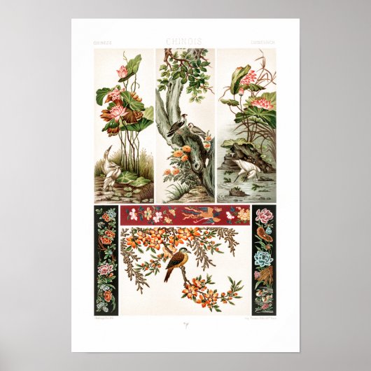 Ancient Chinese pattern by Albert Racinet Poster (Voorkant)