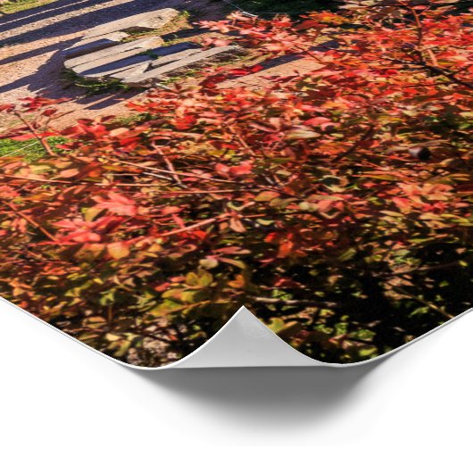 Ancient Delphi Greece Ruins Photo Print – Historic (Hoek)