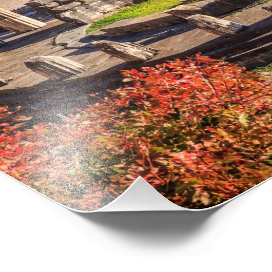 Ancient Delphi, Griekenland Foto Afdruk (Hoek)