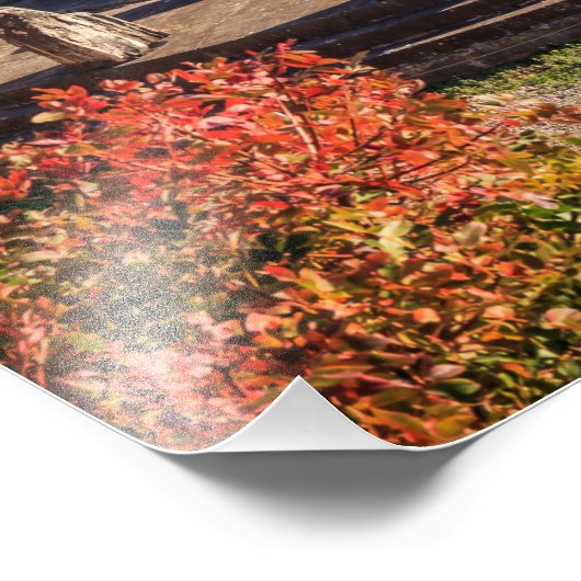 Ancient Delphi, Griekenland Foto Afdruk (Hoek)