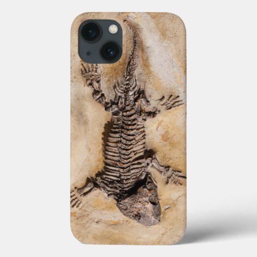 Ancient Dinosaur Fossil in steen Case-Mate iPhone Case (Achterkant)
