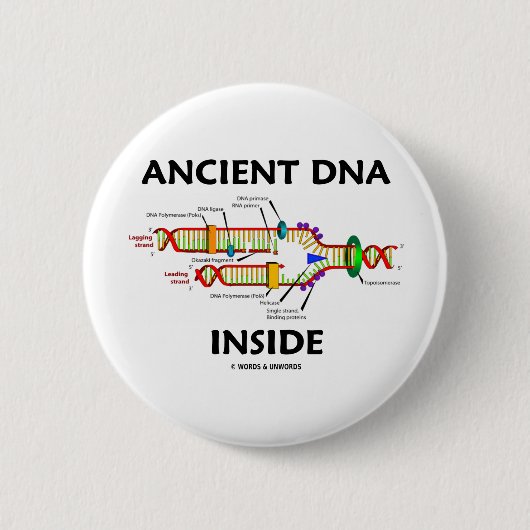 Ancient DNA Inside (DNA-replicatie-Humor) Ronde Button 5,7 Cm (Voorkant)
