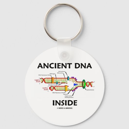 Ancient DNA Inside (DNA-replicatie-Humor) Sleutelhanger (Voorkant)