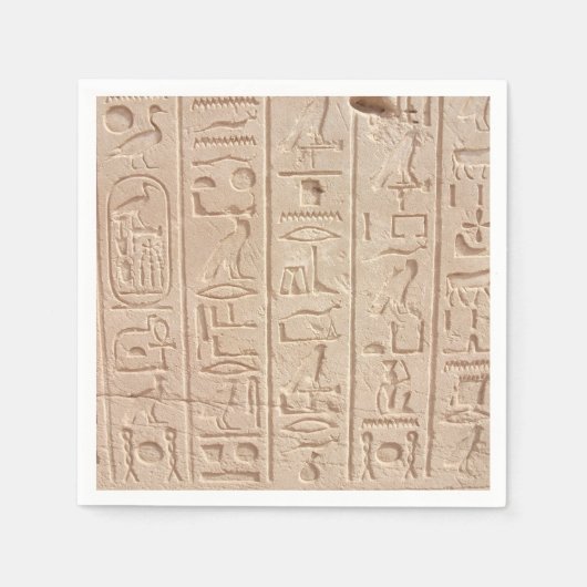 Ancient Egypte dat papier nkins schrijft Servet (Voorkant)