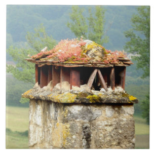 Ancient French Chimney Ceramic Photo Tegel Tegeltje