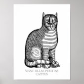 Ancient Fuzzy Cat Poster (Voorkant)
