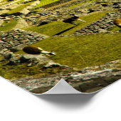 Ancient Machu Picchu, laatste toevluchtsoord van d Poster (Hoek)