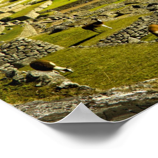 Ancient Machu Picchu, laatste toevluchtsoord van d Poster (Hoek)