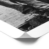 Ancient Mastodon Botten Alaska 1908 Poster (Hoek)