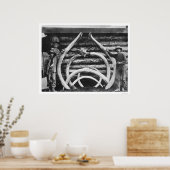 Ancient Mastodon Botten Alaska 1908 Poster (Keuken)
