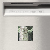 Ancient Mayan Ruins Photo Ontworpen plein Magneet (Insitu (Vaatwasser))