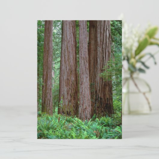 Ancient Redwood Towering Bedankkaart (Staand voorkant)