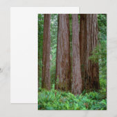 Ancient Redwood Towering Bedankkaart (Voorkant / Achterkant)