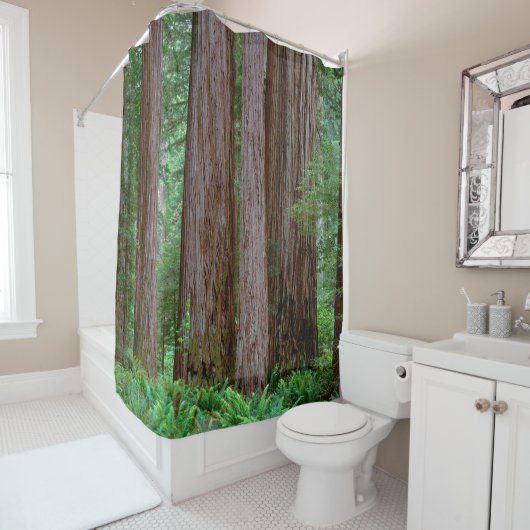 Ancient Redwood Towering Douchegordijn (In situ)