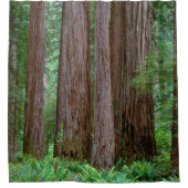Ancient Redwood Towering Douchegordijn (Voorkant)
