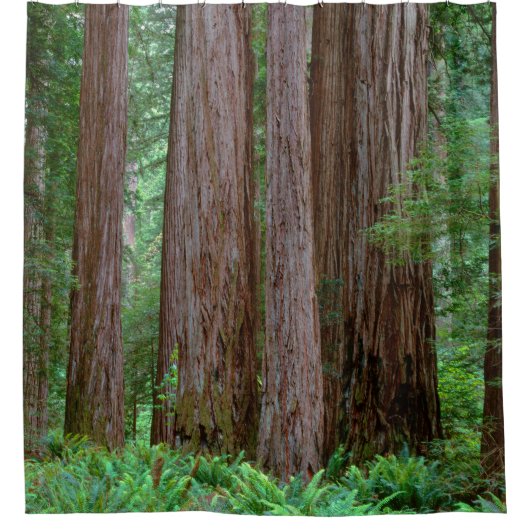 Ancient Redwood Towering Douchegordijn (Voorkant)