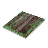 Ancient Redwood Towering Tegeltje (Zijkant)