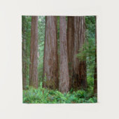 Ancient Redwood Towering Wandkleed (Voorkant)