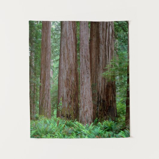 Ancient Redwood Towering Wandkleed (Voorkant)