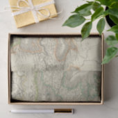 Ancient Roman Empire Tissuepapier (Geschenk)
