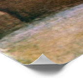 Ancient Roman Historic Architecture Poster (Hoek)