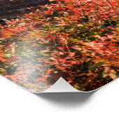 Ancient ruins Athina Pronaia tempel Foto Afdruk (Hoek)