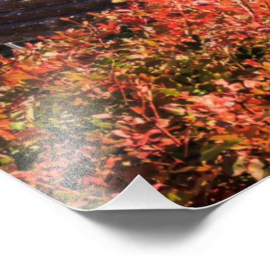 Ancient ruins Athina Pronaia tempel Foto Afdruk (Hoek)