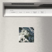 Ancient Ruins City of Copan N.W. Honduras Foto Magneet (Insitu (Vaatwasser))