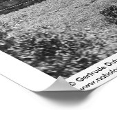 Ancient Ruins: Gateway to Labna, Yucatan, Mexico Poster (Hoek)