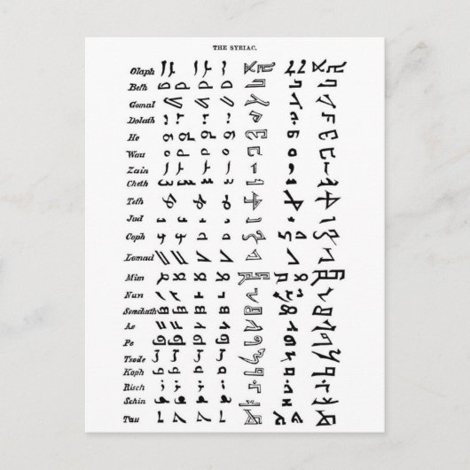 Ancient Syria Alphabet Briefkaart (Voorkant)