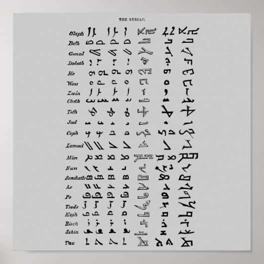Ancient Syria Alphabet Poster (Voorkant)
