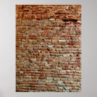 Ancient Textured Brick Wall van Lal Killa Indiaage