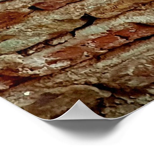 Ancient Textured Brick Wall van Lal Killa Indiaage Poster (Hoek)