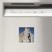 Ancient Tstage Abbey, klooster van Cistercian, Wal Magneet (Insitu (Vaatwasser))