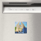 Ancient Tstage Abbey, klooster van Cistercian, Wal Magneet (Insitu (Vaatwasser))