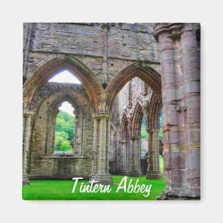 Ancient Tstage Abbey, klooster van Cistercian, Wal Magneet